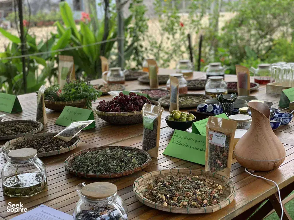 Seek Sophie option picture