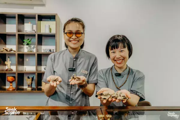 Rare Agarwood Tour | The Scent More Valuable than Gold