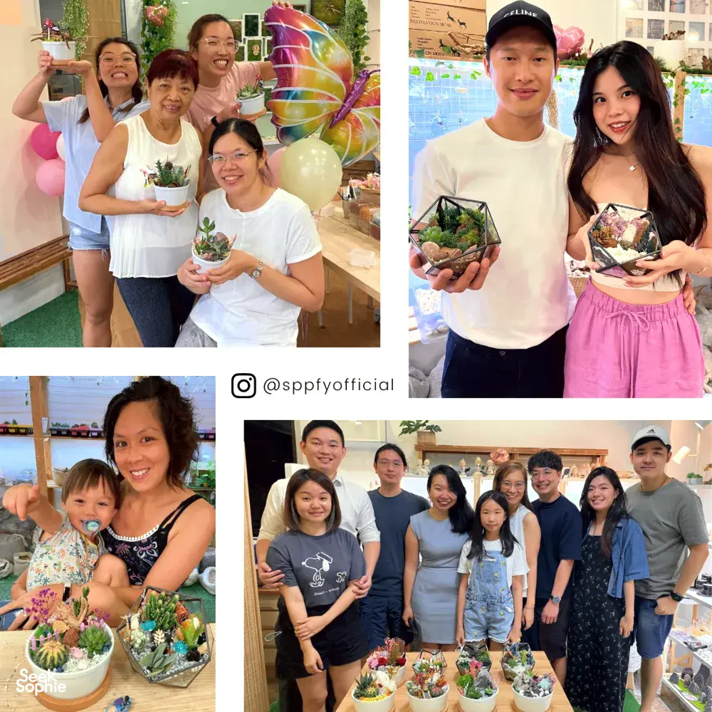 Seek Sophie option picture