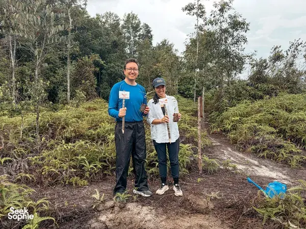 4D3N Private Orangutan Cruise | Comfy Boat + Better Wildlife Sightings