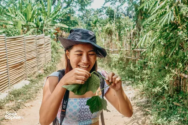 Half Day Rinjani Foothills Trek | Support First Female-Led Guides