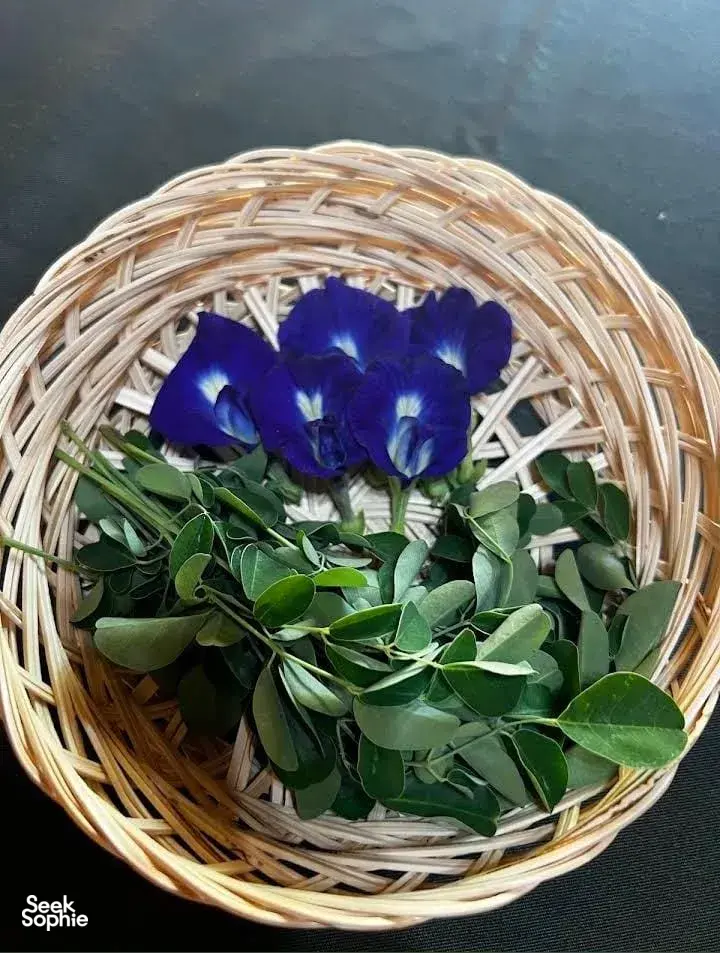 Woven basket of butterfly pea flowers and fresh green herbs on a dark surface for tempe making with TempeGo Experience in Bali
