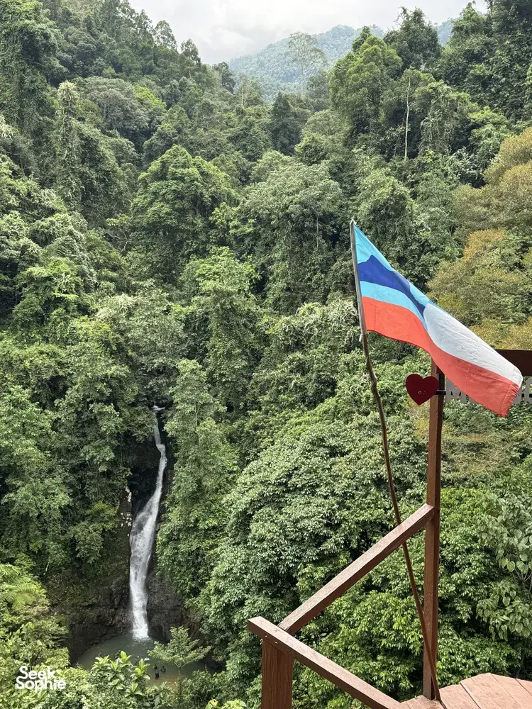 Seek Sophie option picture