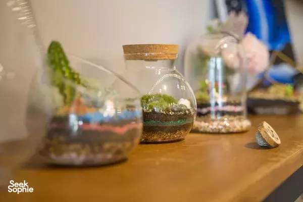 Buat Terrarium Kaca dengan Bahan Tak Terbatas