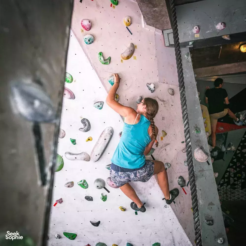 Seek Sophie option picture