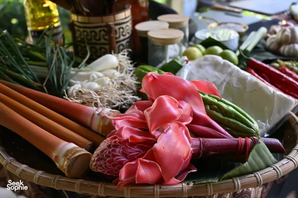 Seek Sophie option picture