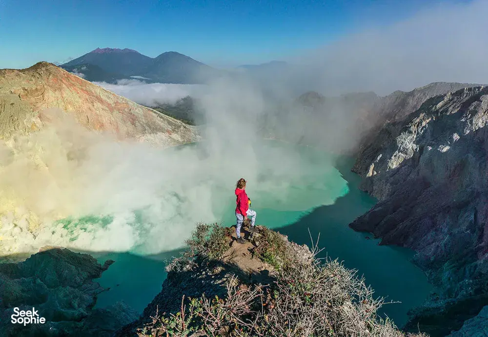 Seek Sophie option picture