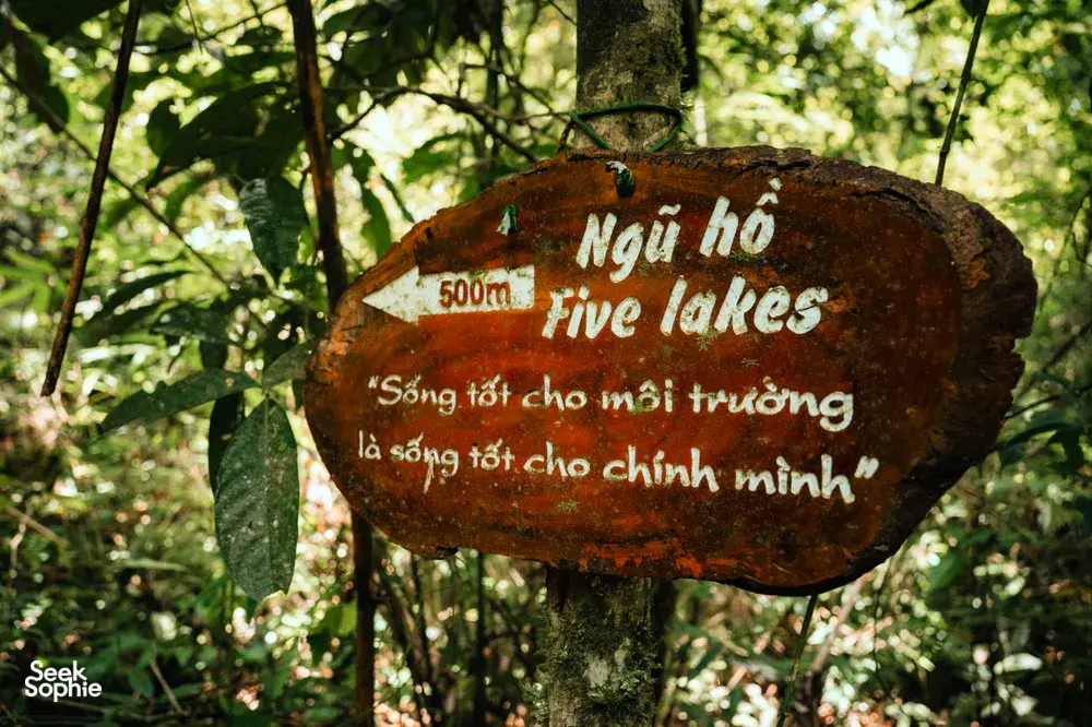 Seek Sophie option picture