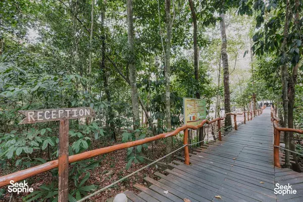 1 Day Kinabatangan River Safari