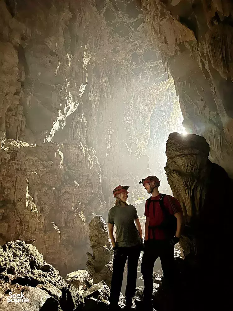 Seek Sophie option picture