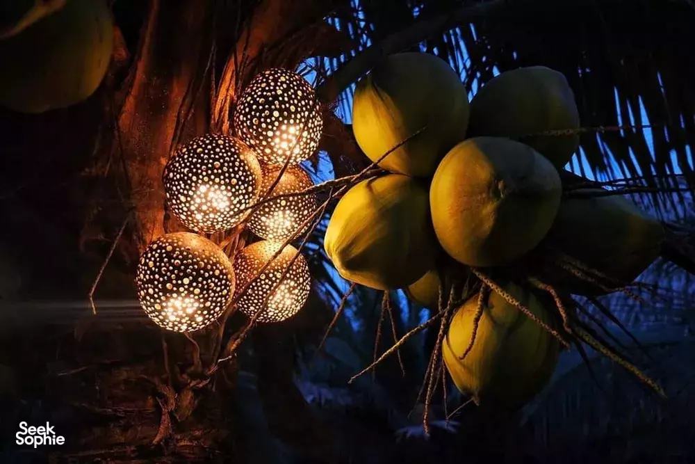 Seek Sophie option picture