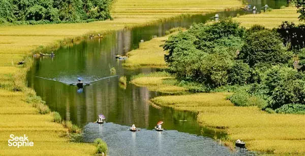 1 Day Hoa Lu & Tam Coc trip **Cycle along country roads