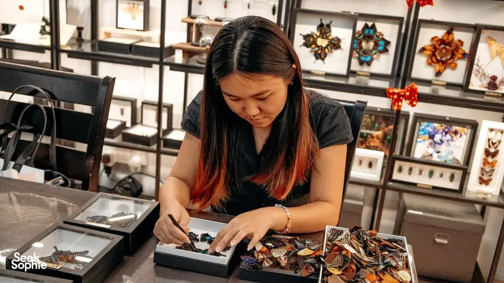 Seek Sophie option picture