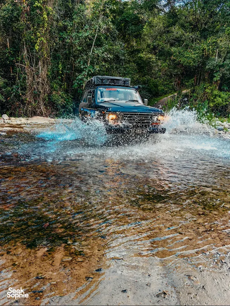 Seek Sophie option picture