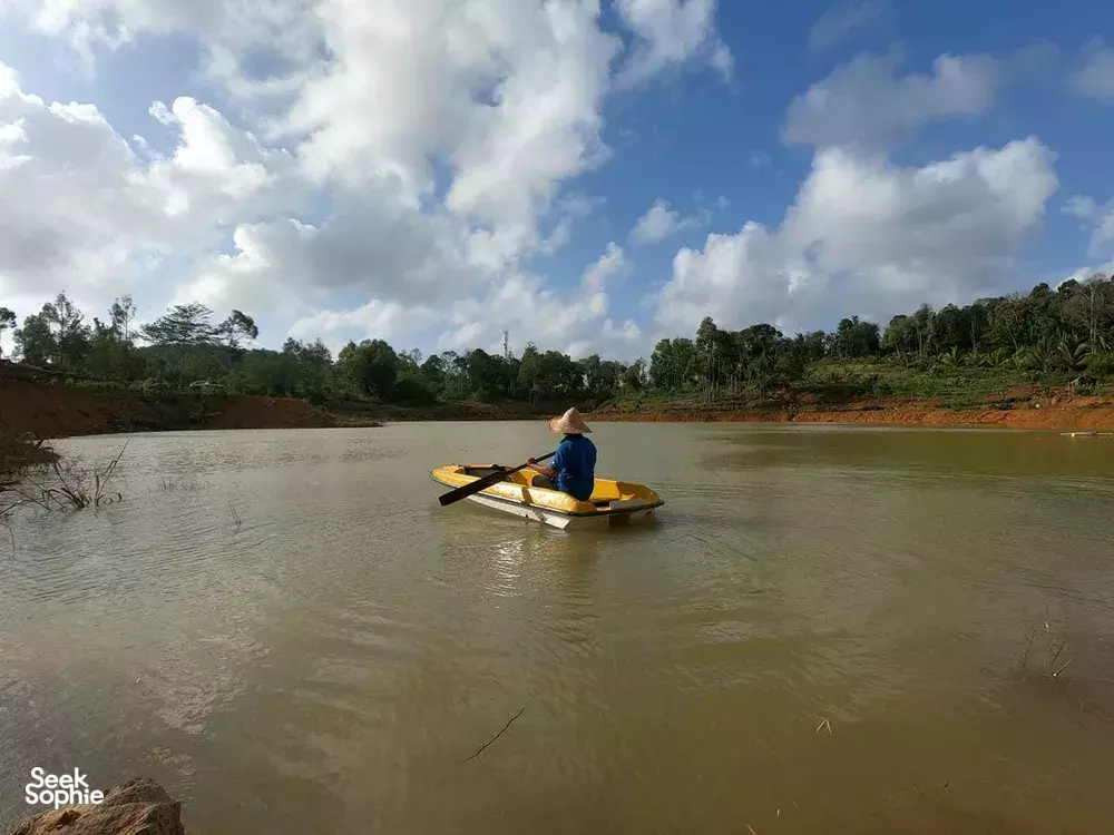 Seek Sophie option picture