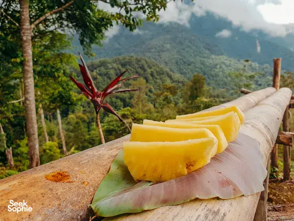 1 Day Kinabalu Foothills Jungle Trek + Dusun Village Lunch