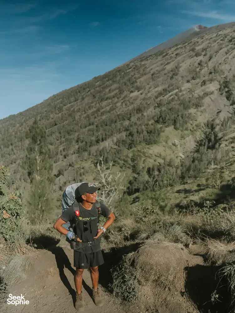 Seek Sophie option picture