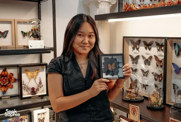 Transform Butterfly Wings into a Stunning Mandala Artwork