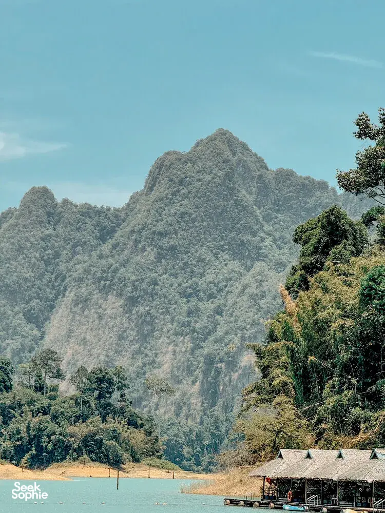 Seek Sophie option picture