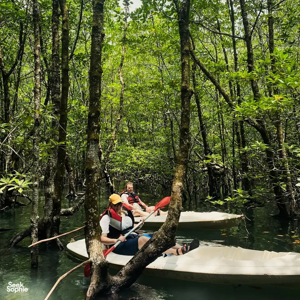 Travellers on kayaks glide under overhanging mangrove branches in Langkawi, surrounded by calm river water on a Selva-led trip
