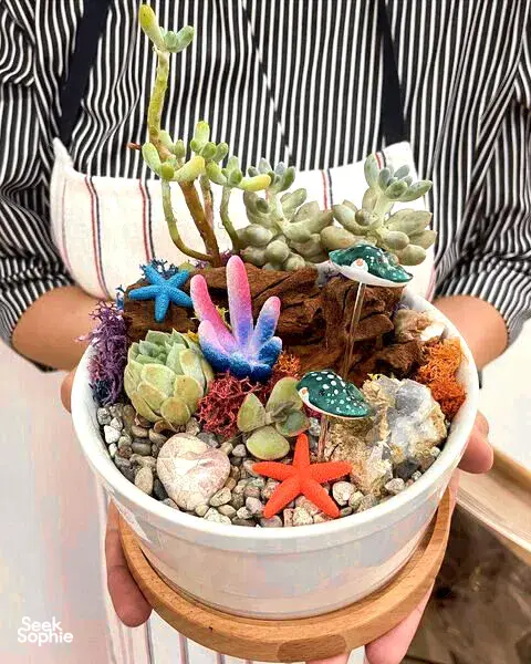 Seek Sophie option picture