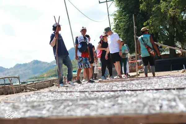 Group standing on a gravel path by the sea with greenery and mountains behind, looking out during a Labuan Bajo Komodo day trip