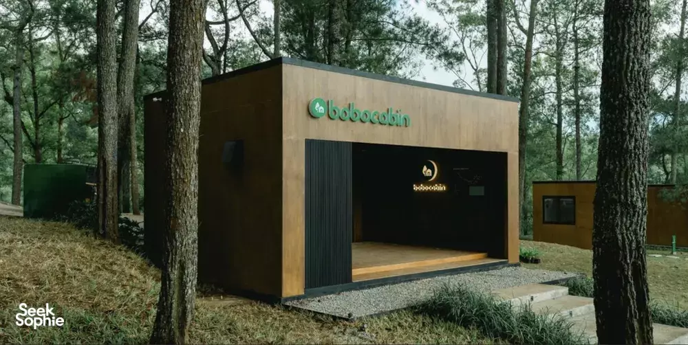 Seek Sophie option picture