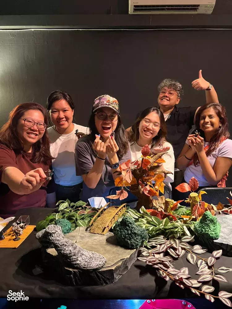 Seek Sophie option picture