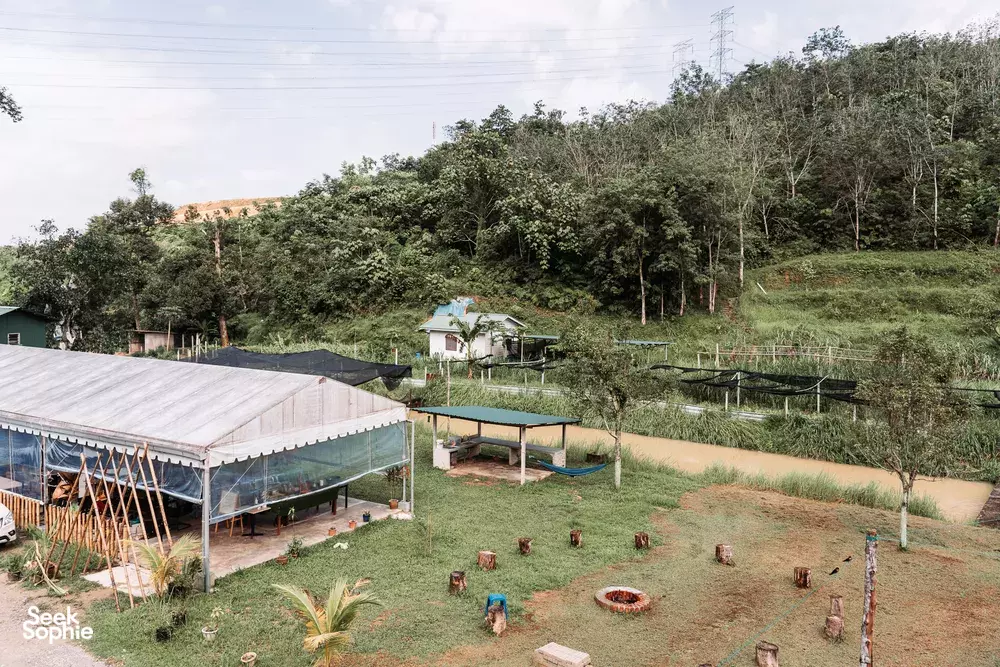 Seek Sophie option picture