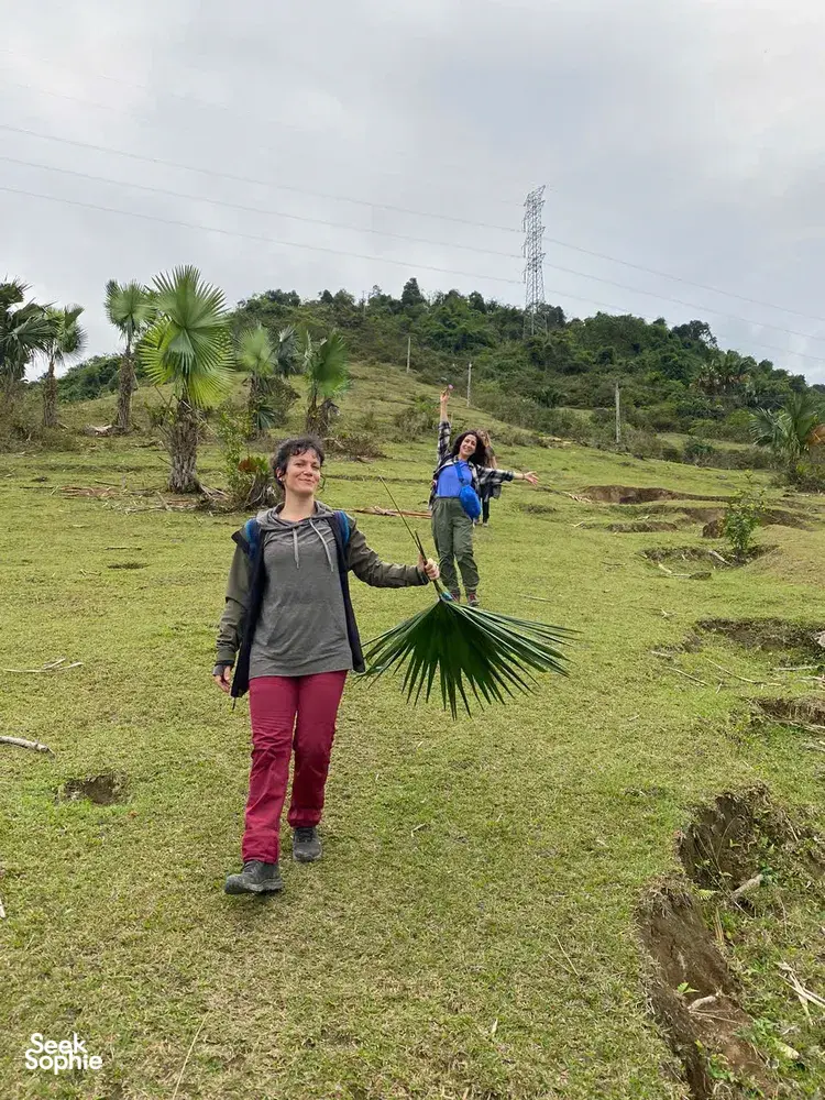 Trekkers on a Ha Giang hillside path carry palm fronds as they continue a rice-terrace trek through Tay and Dao villages