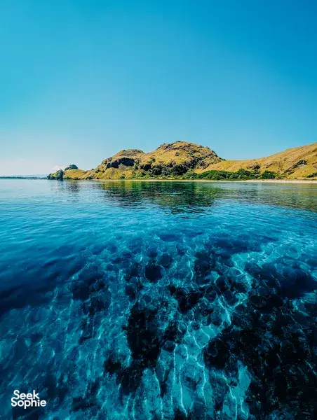 1 Day Diving in Komodo | With Ocean Enthusiasts