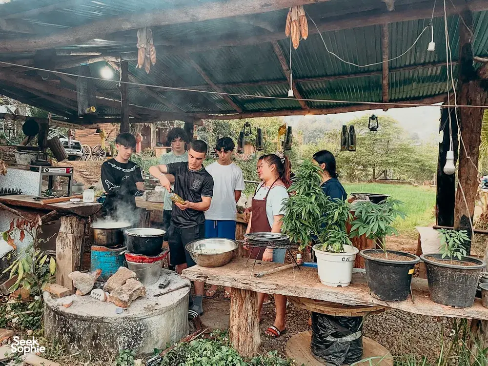 Seek Sophie option picture