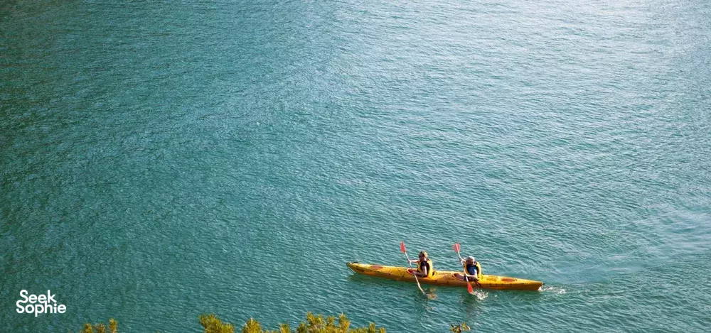 Seek Sophie option picture