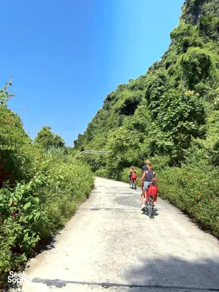3D2N Cat Ba Trip on a Boutique Cruise | Village Life, Kayaking, Biking