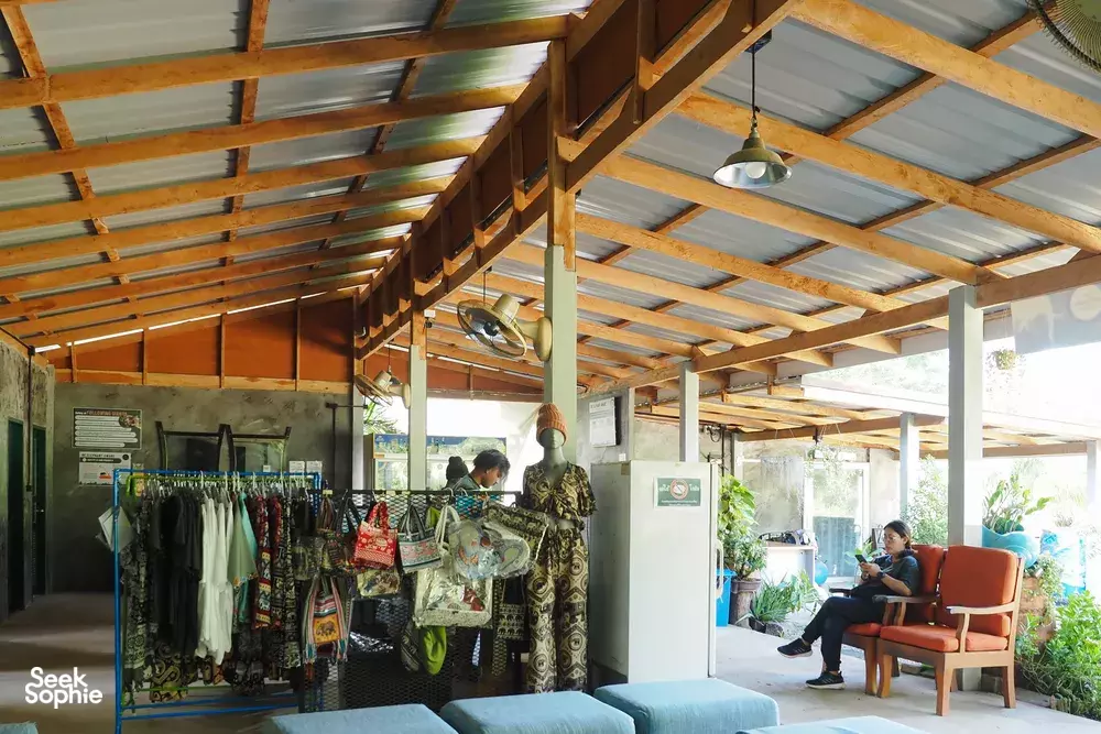 Seek Sophie option picture