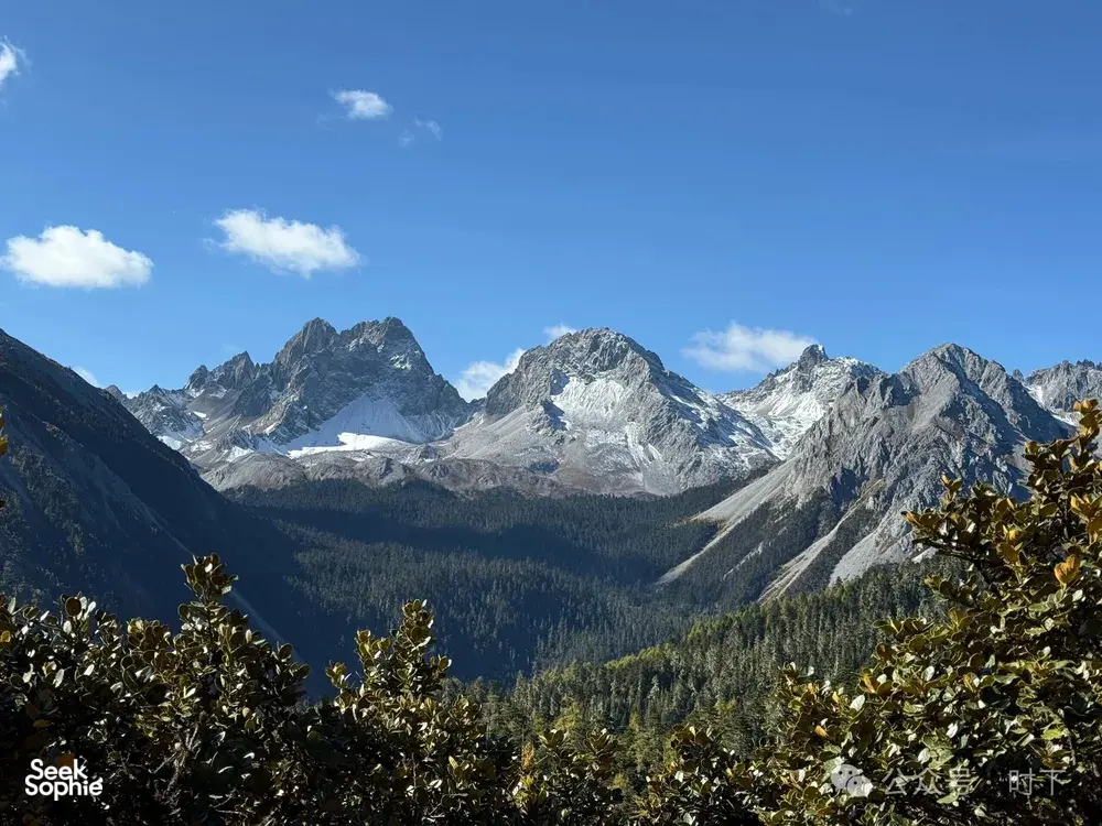 Scenic mountain panorama in Shangri-La seen over forest-green slopes, with distant snowfields and glaciers under a bright sky