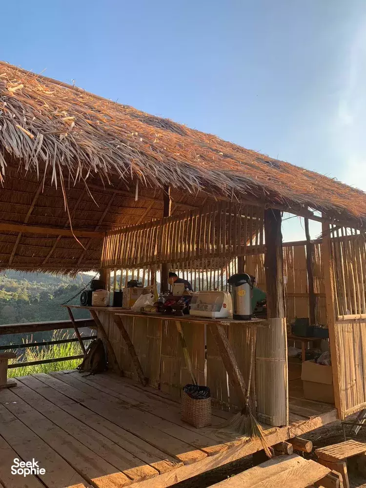 Seek Sophie option picture