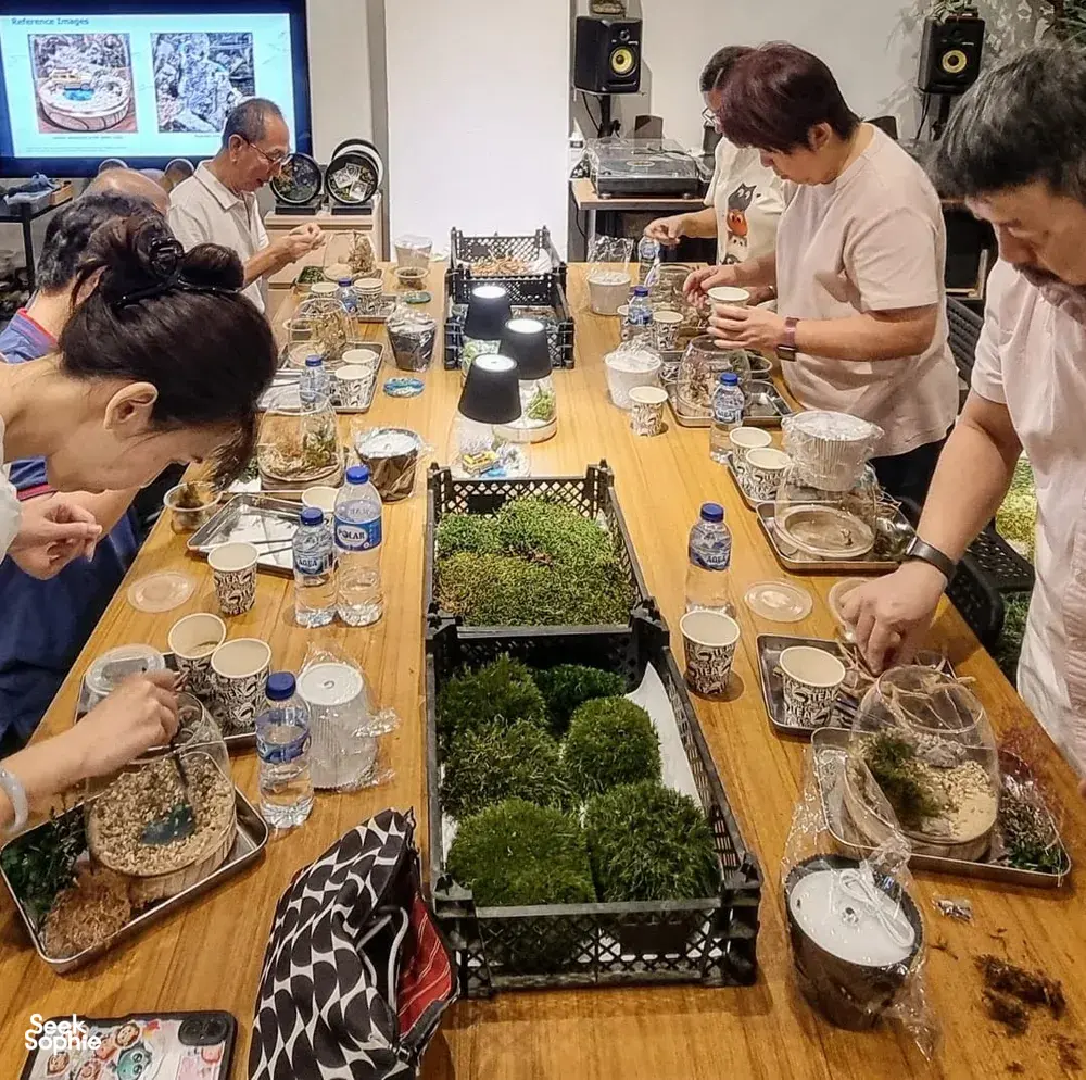 Seek Sophie option picture