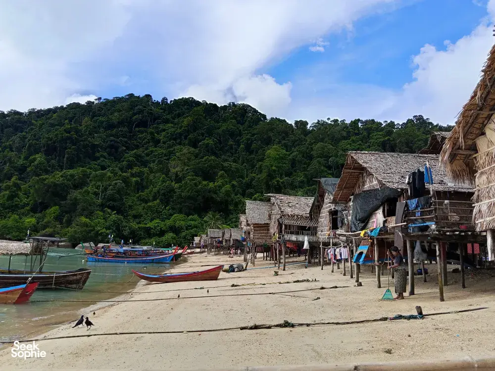 Seek Sophie option picture