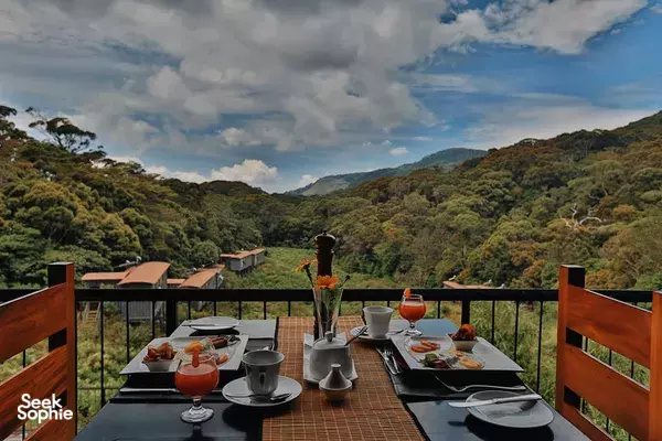 1D1N Sinharaja Rainforest Retreat & Hike @ Stylish Ecolodge 
