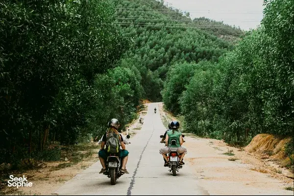 Motorcyclists ride along a quiet country road through green trees towards hills in Hoi An on a secret waterfall adventure