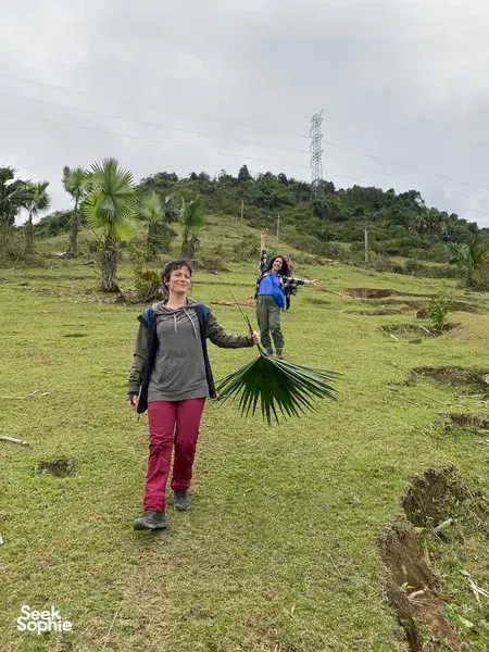Trekkers on a Ha Giang hillside path carry palm fronds as they continue a rice-terrace trek through Tay and Dao villages