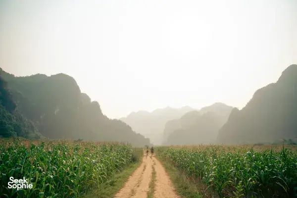 Dirt path through lush greenery flanked by karst hills in Phong Nha at sunrise, on a Greenland Tours 2D2N adventure