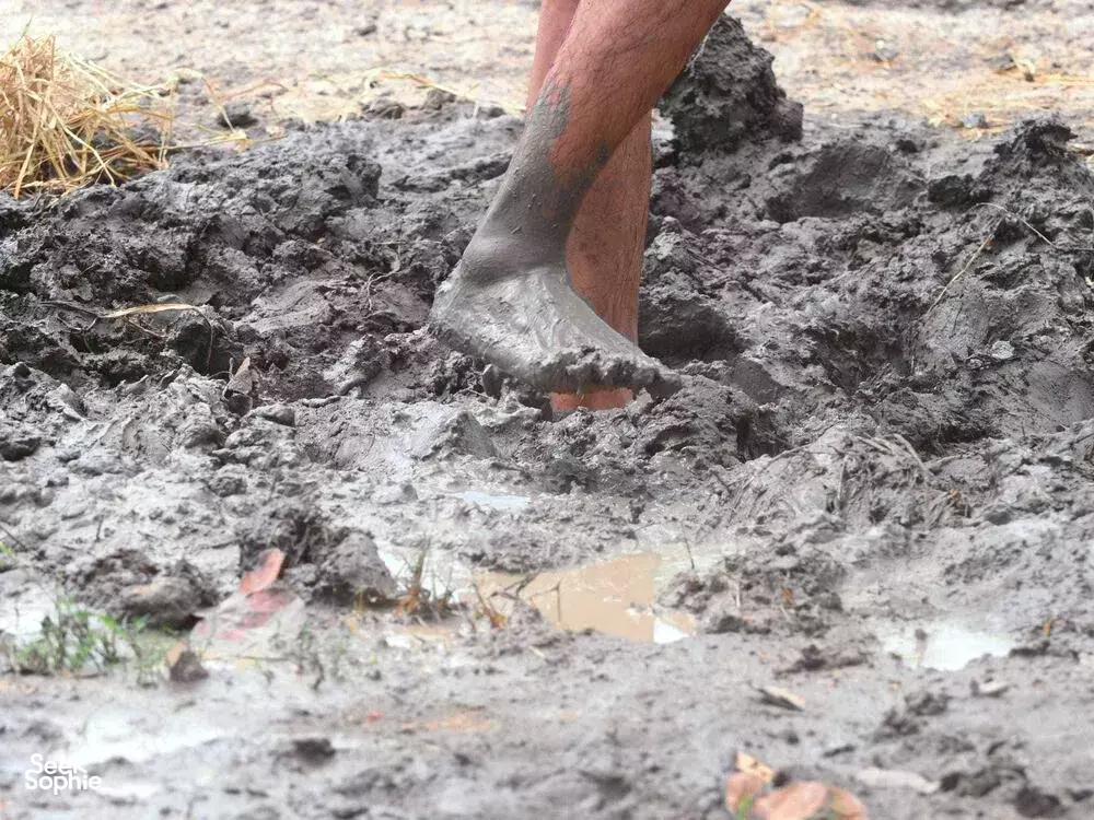 Seek Sophie option picture