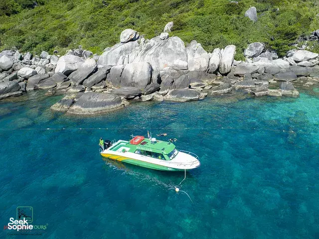 Seek Sophie option picture