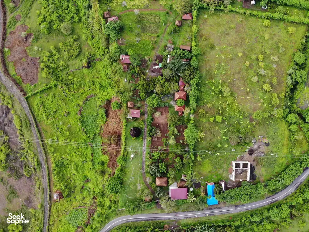 Seek Sophie option picture