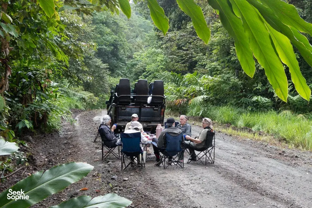 Small group seated around folding chairs on a jungle path beneath rainforest leaves during the Deramakot 3D2N safari
