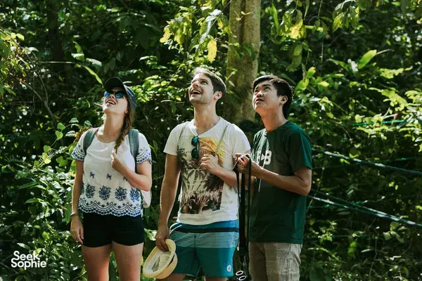 Herbalist show-and-tell on a gentle forest walk in Gunung Raya, Langkawi: three walkers examining leaves with Darulaman Sanctuary