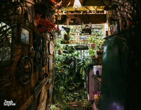 Koridor penuh tanaman di sebuah flat sewaan di Singapura, dengan dekorasi gantung dan rak, dijelajahi oleh Hidden Heritage sebagai salah satu sudut tersembunyi Singapura