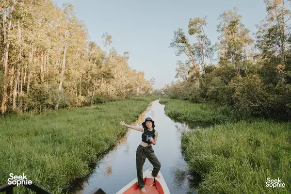 Tanjung Puting National Park Experiences